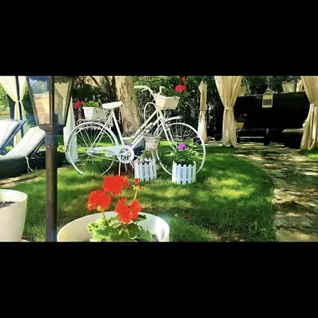 Apartamento Complex Anita